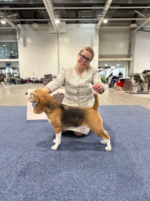 Dalmatia Dog Shows Zadar 2023 – EN