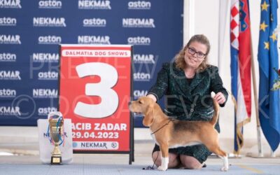 Dalmatia Dog Shows Zadar 2023