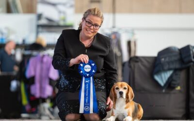 EUROPEAN DOG SHOW HERNING 2023