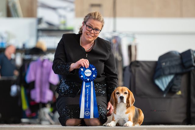 EUROPEAN DOG SHOW HERNING 2023 – EN