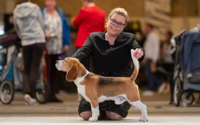 EUROPEAN DOG SHOW HERNING 2023