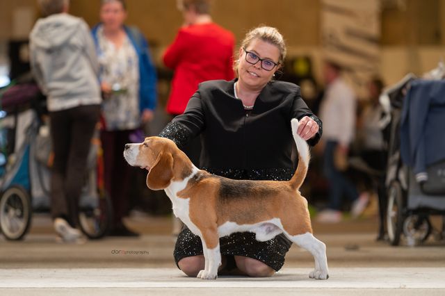 EUROPEAN DOG SHOW HERNING 2023 – EN