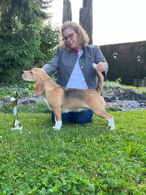 SLC/CCC Expo–CAC Jagdhunde-Ausstellung Escholzmatt