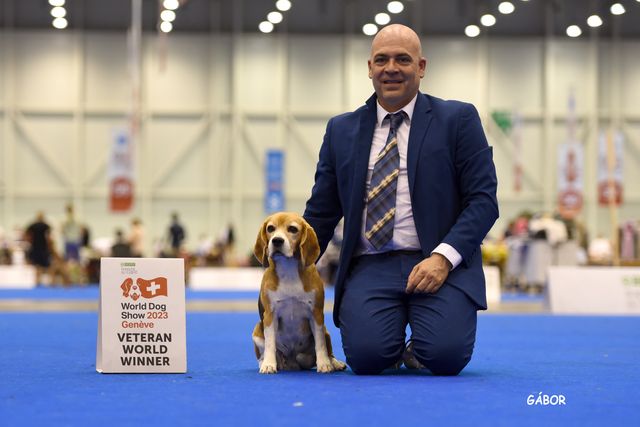 World Dog Show 2023