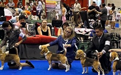 World Dog Show 2023