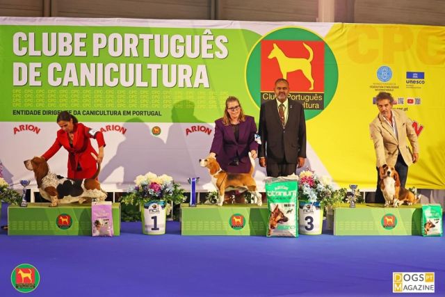 Latin Winner and CPC Winner Santarem – EN