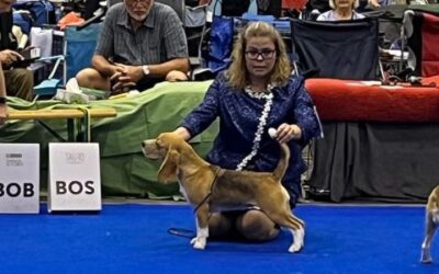 Latin Winner and CPC Winner Santarem