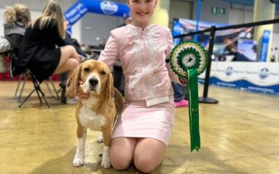 ESPOSIZIONE INTERNAZIONALE BUSTO ARSIZIO