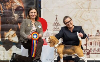 Timisoara Winter Trophy – Champion Of Champions