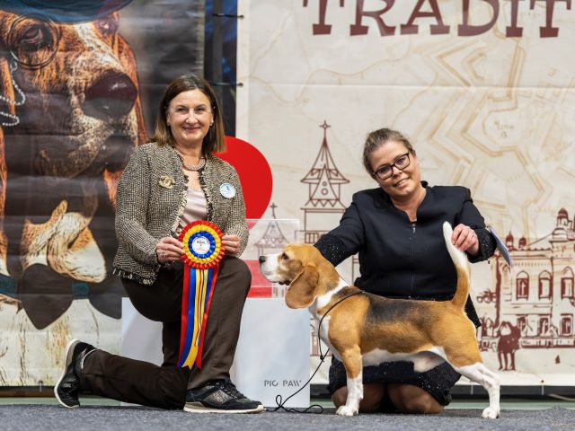 Curtis Timisoara Winter Trophy – Champion Of Champions – EN