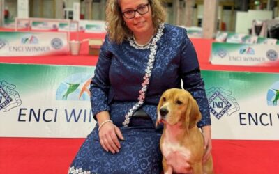 Timisoara Winter Trophy – Champion Of Champions