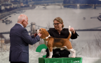 Fehova Winter Dog Show 2024