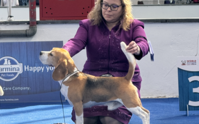 International Spring Dog Show Zagreb