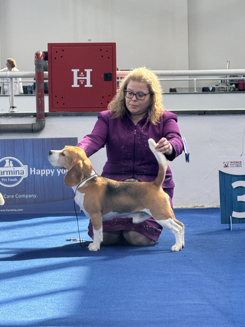 International Spring Dog Show Zagreb – EN