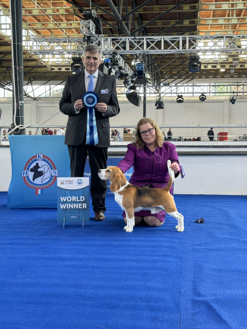 WORLD DOG SHOW ZAGREB 2024 – EN