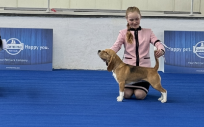 WORLD DOG SHOW ZAGREB 2024