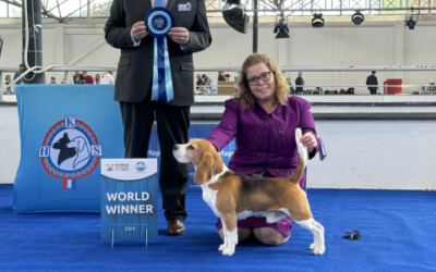 World Dog Show 2024 – EN