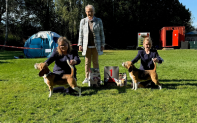 CAC Gemeinschaftsaustellung Langenselbold