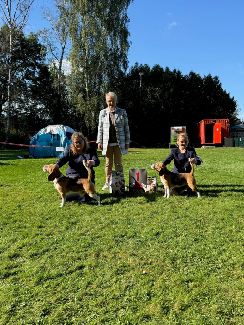 CAC Gemeinschaftsaustellung Langenselbold – EN