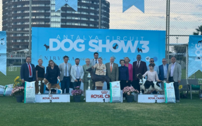 Antalya Circuit Dog Show 2024