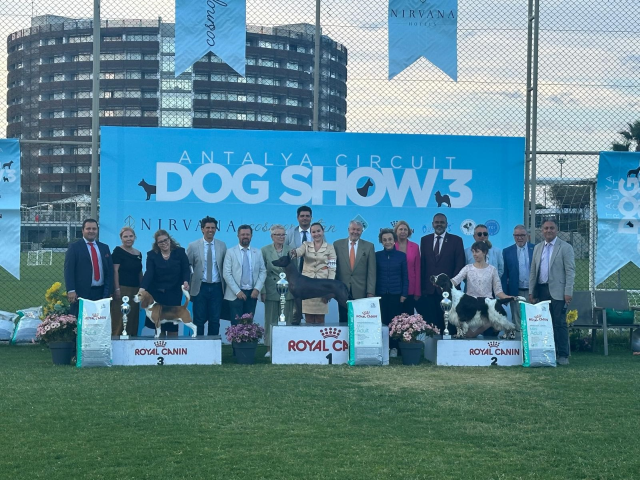 Antalya Circuit Dog Show 2024 EN