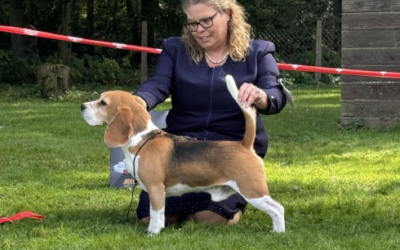 Swiss Dogshow Aarau 2024
