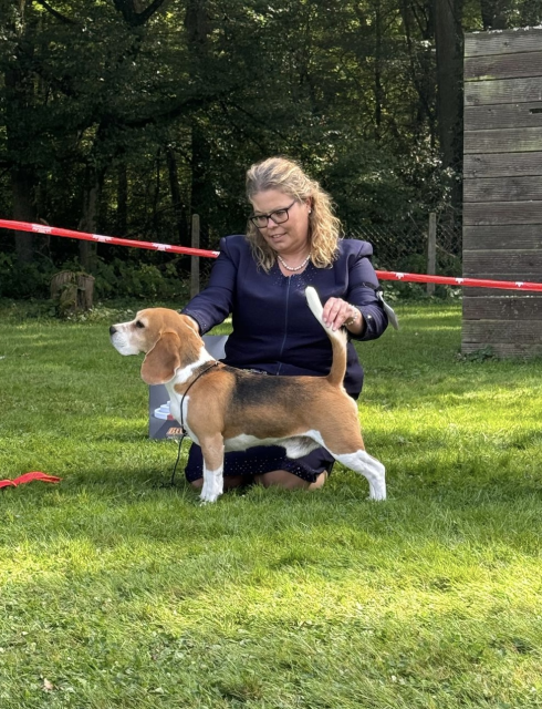 Swiss Dogshow Aarau 2024
