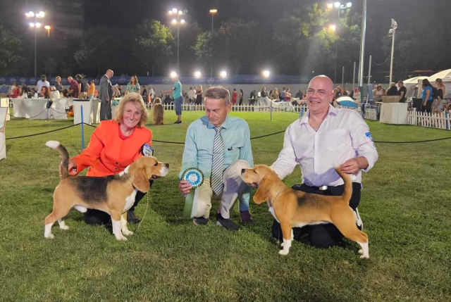 CACIB Split Night Show