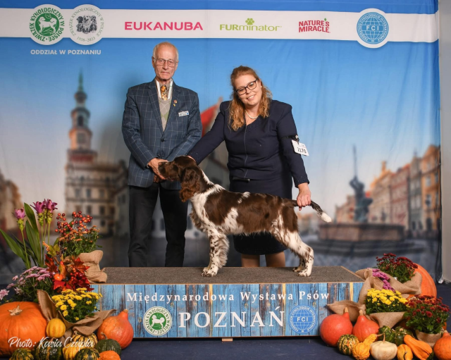 Double CACIB Poznan