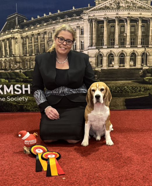 BRÜSSEL DOGSHOW 2024