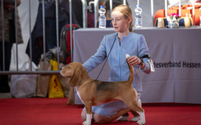 BRÜSSEL DOGSHOW 2024