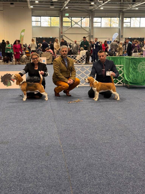 CHAMPION OF CHAMPIONS 