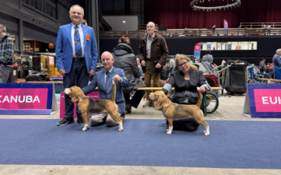 Martini Dogshow – EN