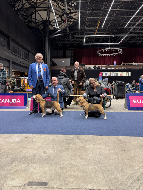 Martini Dogshow