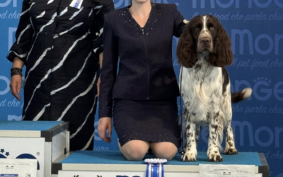 Gent-58e Flanders Dog Show