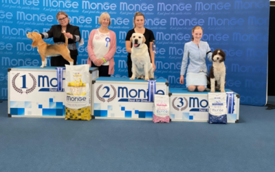 Gent-58e Flanders Dog Show