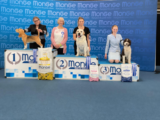 Gent-58e Flanders Dog Show