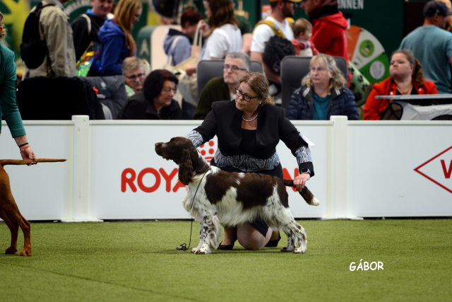 Exposition internationale avec spèciales de race