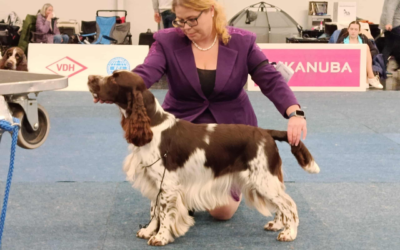 INTERNATIONAL/NATIONAL DOG SHOW Cernobbio