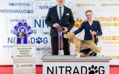 Nitra Carneval Cup 2026