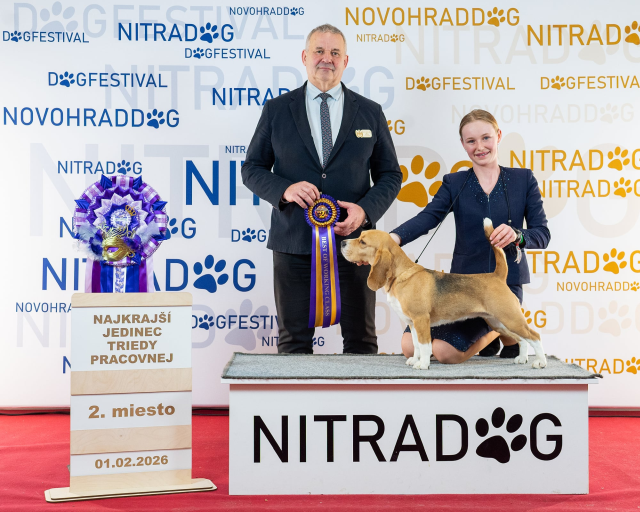 Nitra Carneval Cup 2026